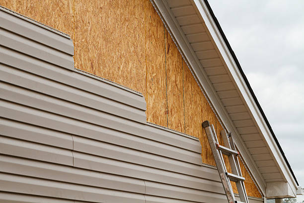 Professional Siding Repair technician working in Beverly Hills, FL